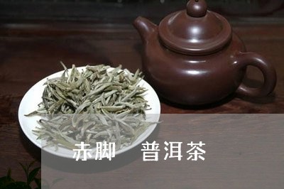 赤脚 普洱茶/2023042894845